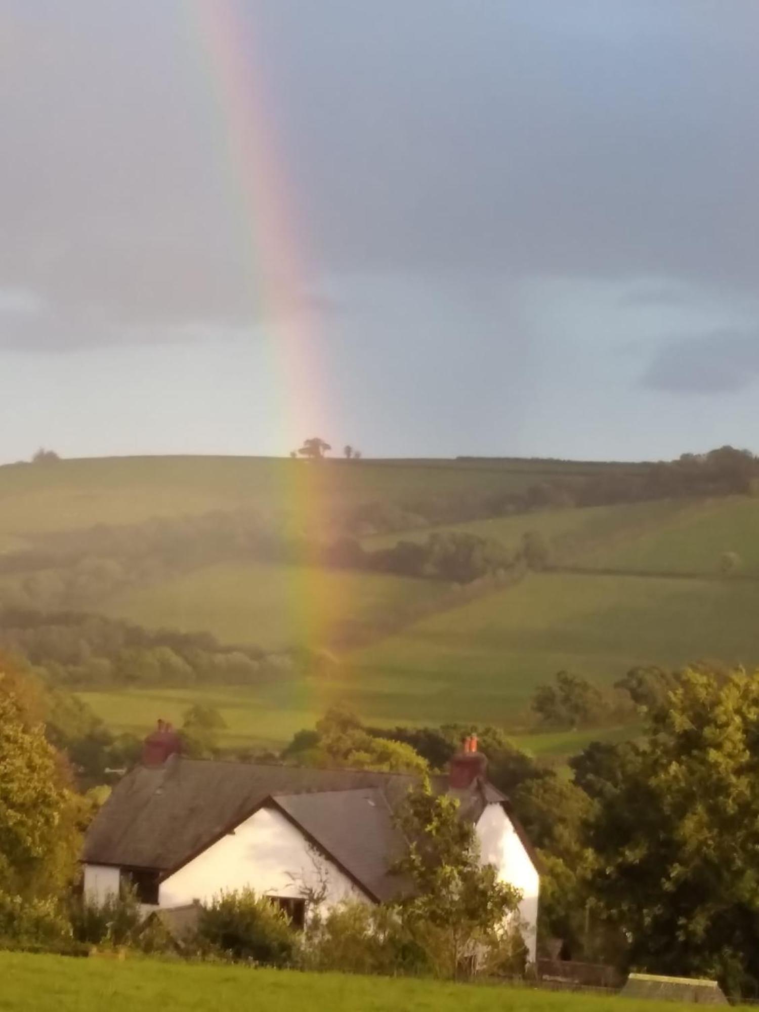 Daisy Holiday home Bishop's Nympton